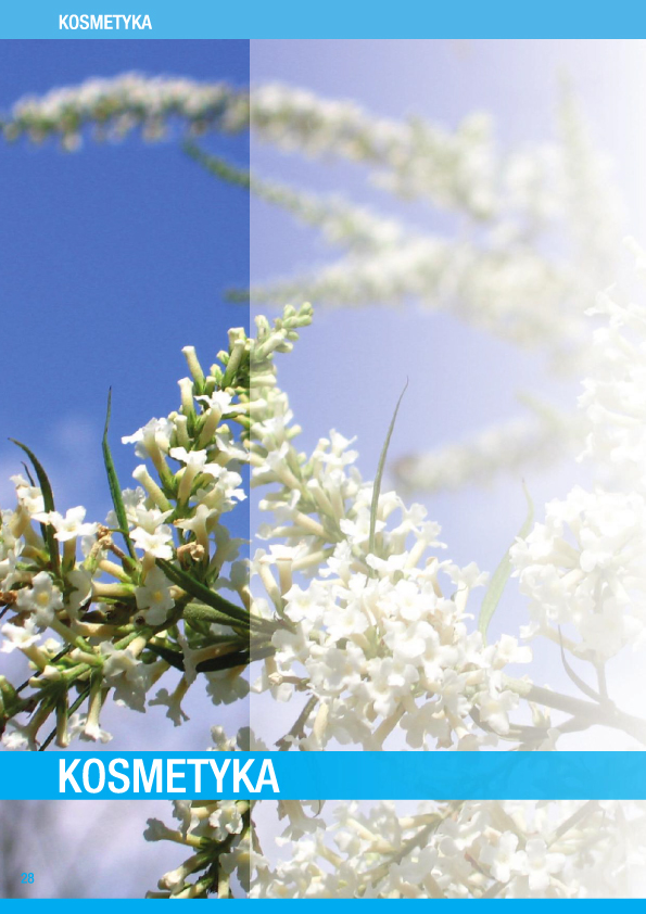 chemia profesjonalna do sprzątania